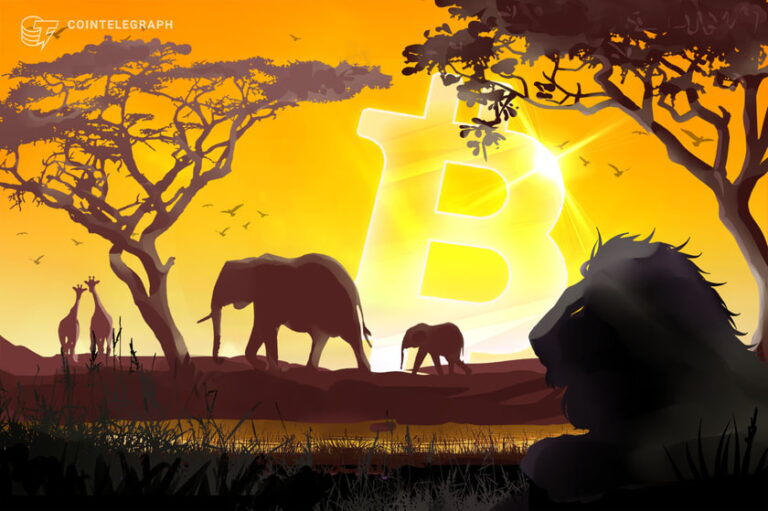 IMF optimism in Central African Republic, despite Bitcoin adoption